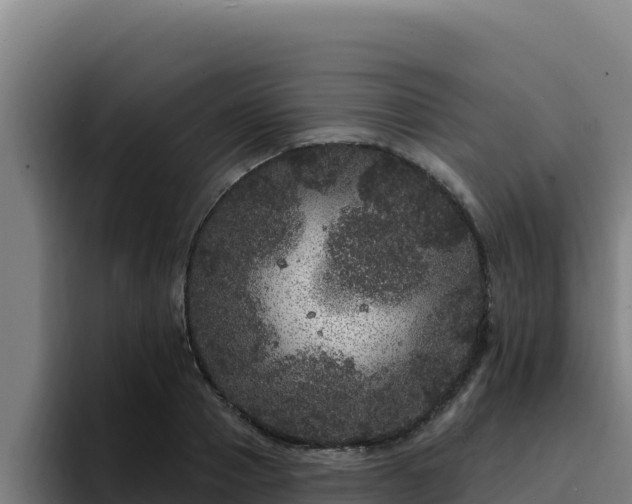 X0000094960937200712061309