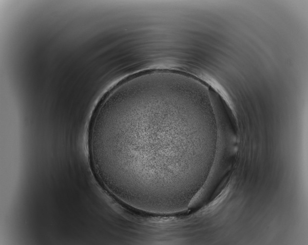 X0000094960939200712061309