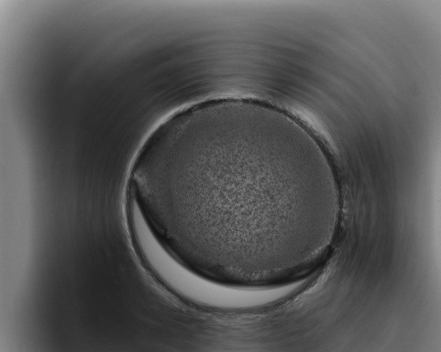 X0000094960942200712061309