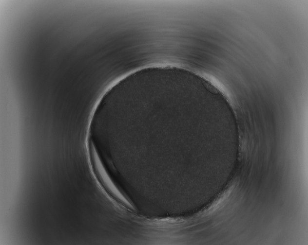 X0000094960943200712061309