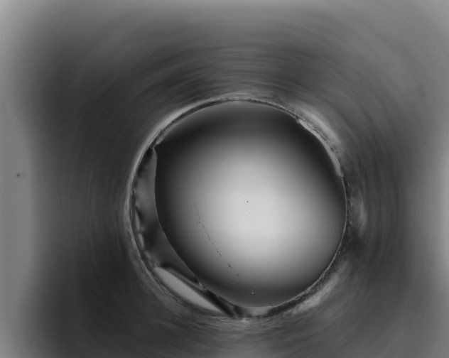 X0000094960948200712061309