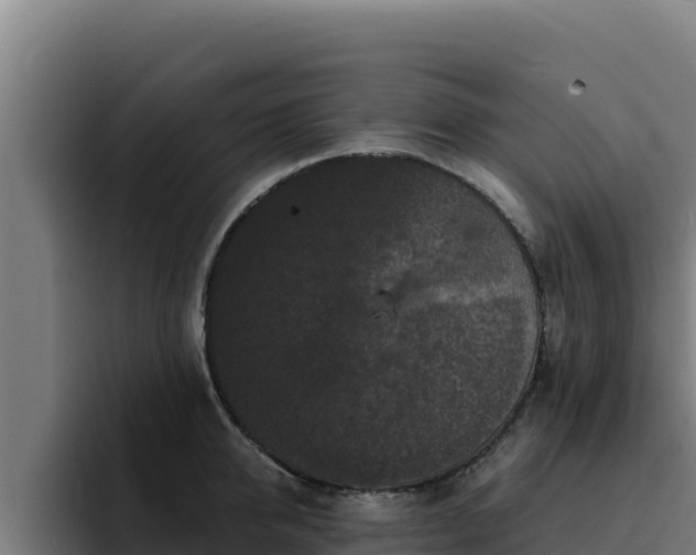 X0000094960950200712061309