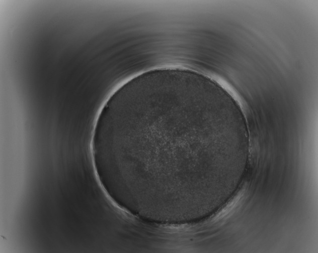 X0000094960951200712061309