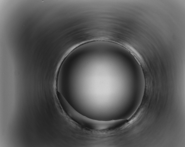 X0000094960956200712061309