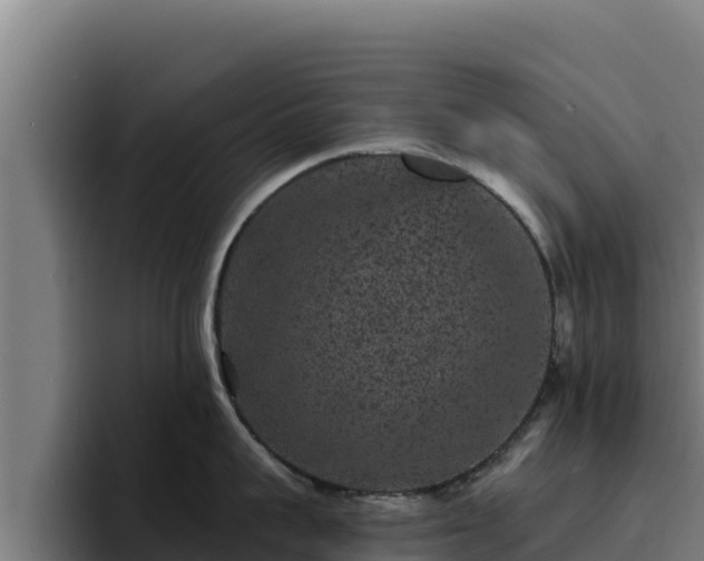 X0000094960959200712061309