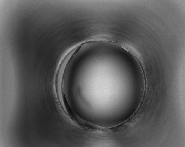 X0000094960960200712061309