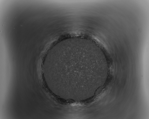 X0000094960961200712061308