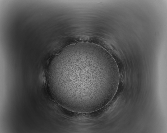 X0000094960962200712061308