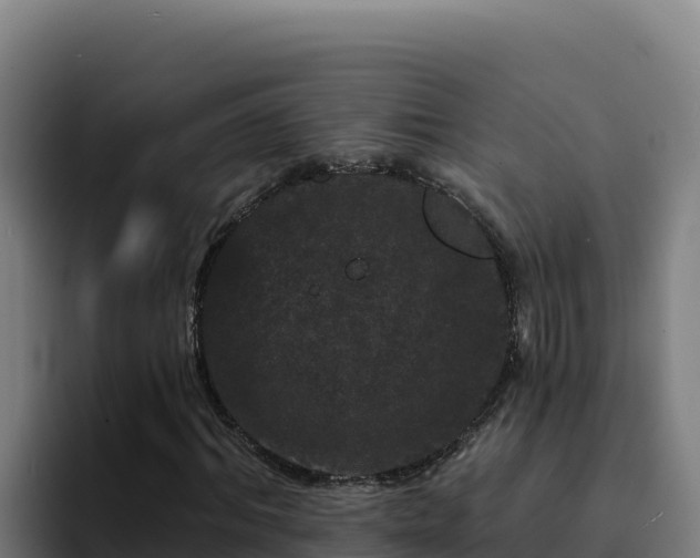 X0000094960964200712061308