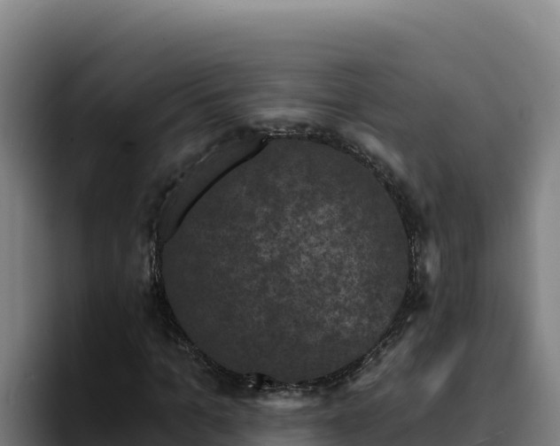 X0000094960965200712061308