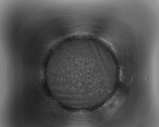 X0000094960966200712061308