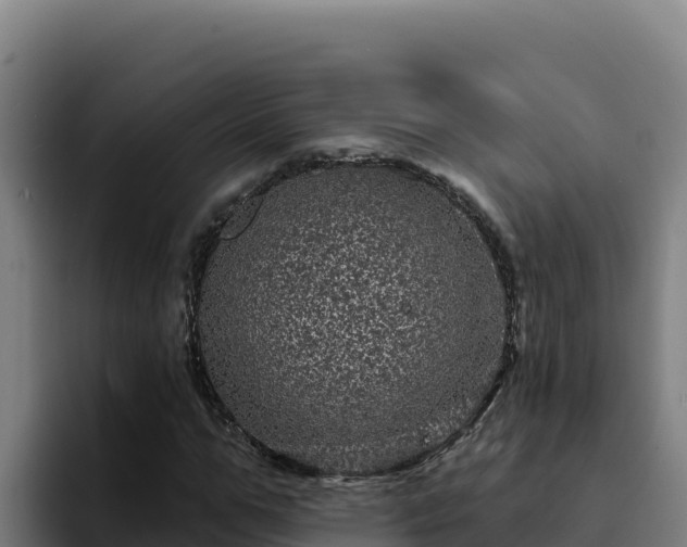 X0000094960967200712061308