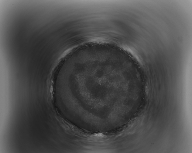 X0000094960968200712061308