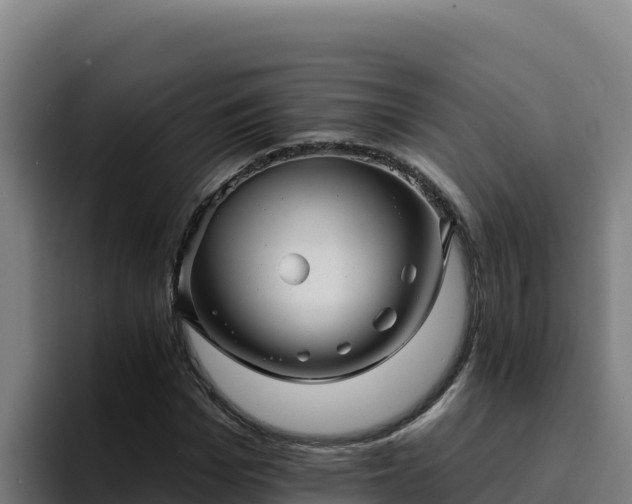 X0000094960969200712061308