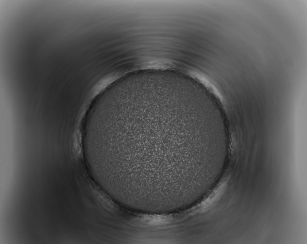 X0000094960970200712061308