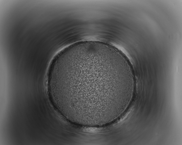 X0000094960971200712061308