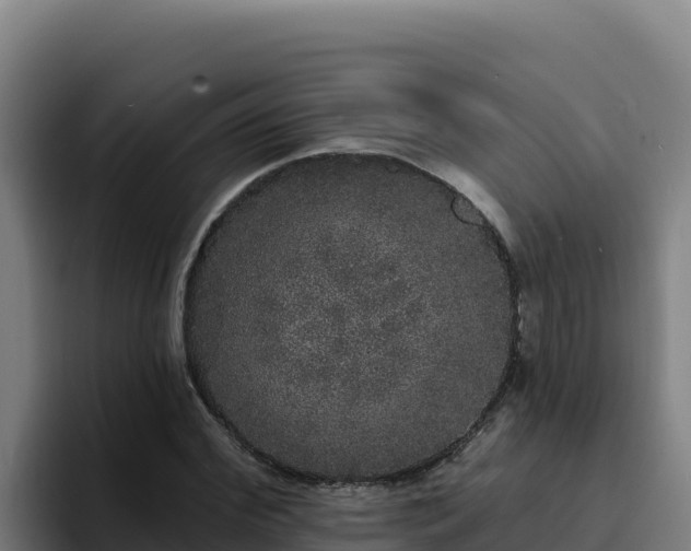 X0000094960972200712061308