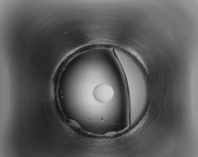 X0000094960973200712061308