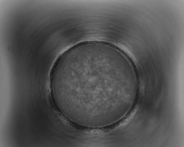 X0000094960974200712061308