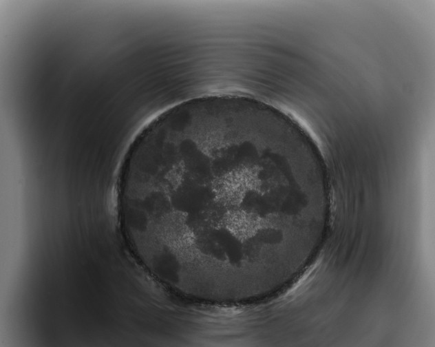 X0000094960975200712061308