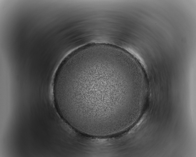 X0000094960976200712061308