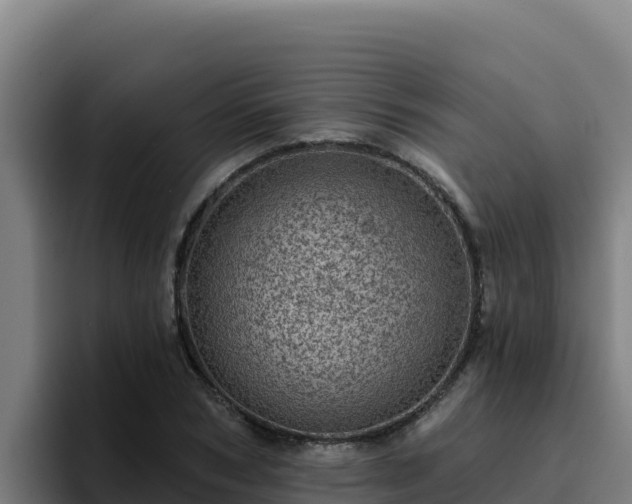 X0000094960978200712061308