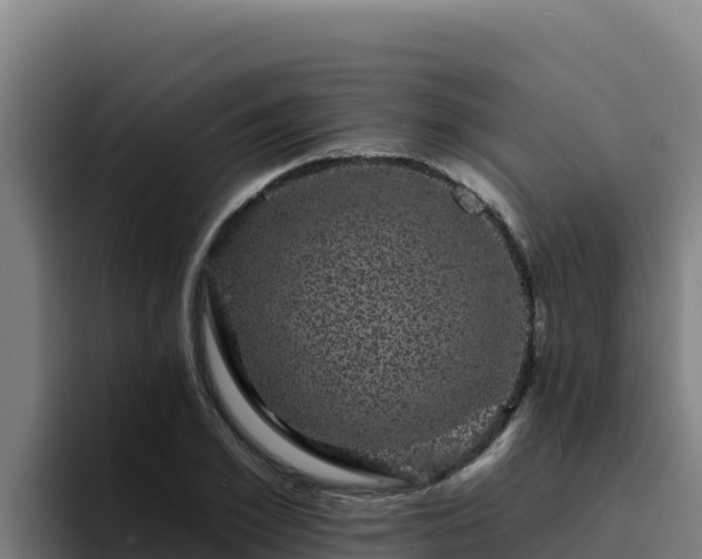 X0000094960981200712061308