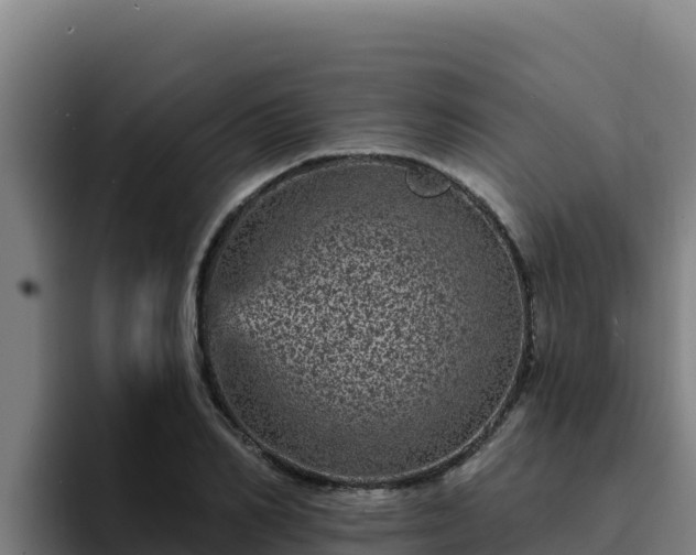 X0000094960982200712061308