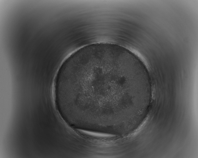 X0000094960983200712061308