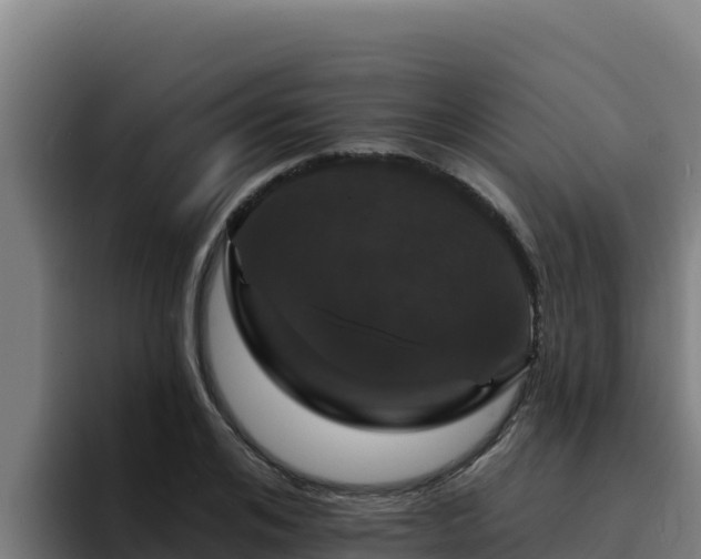 X0000094960984200712061308