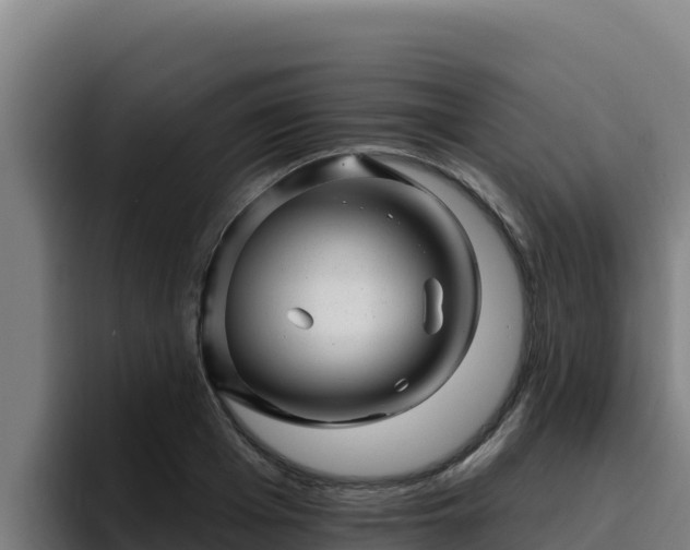 X0000094960985200712061308