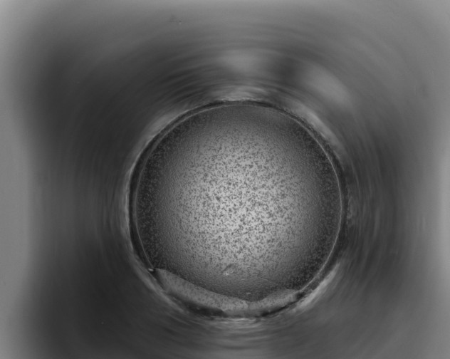 X0000094960986200712061308