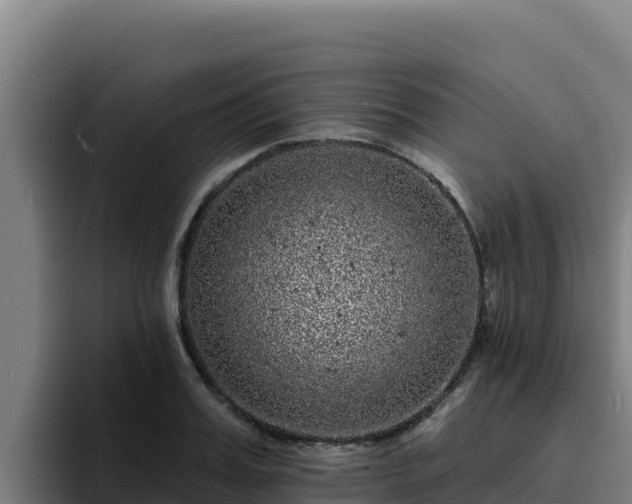 X0000094960987200712061308