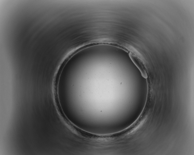 X0000094960989200712061308