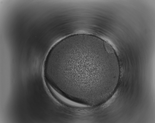 X0000094960991200712061308