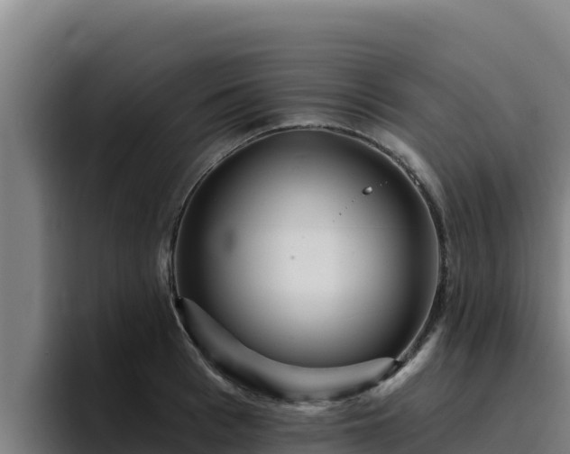 X0000094960993200712061308