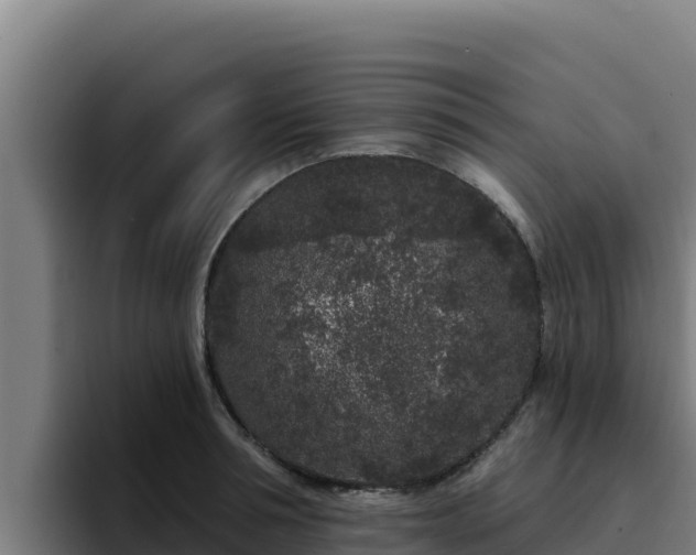 X0000094960994200712061308