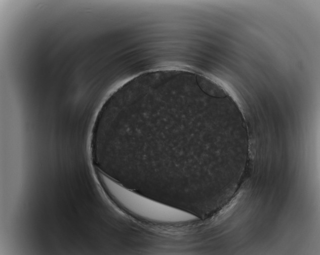 X0000094960995200712061308