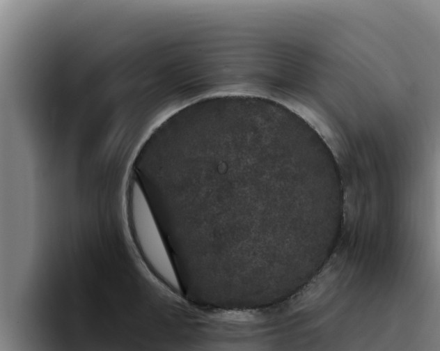 X0000094960998200712061308