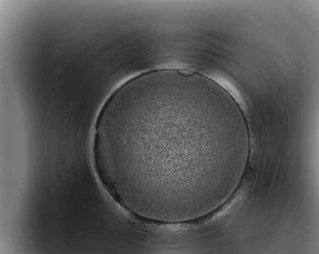 X0000094961000200712061308