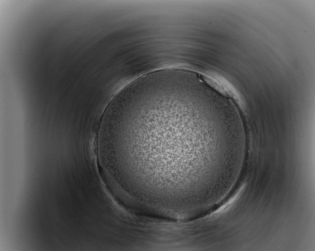 X0000094961001200712061308