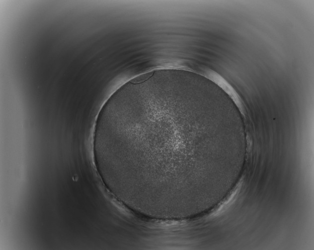 X0000094961002200712061308