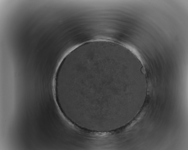 X0000094961003200712061308