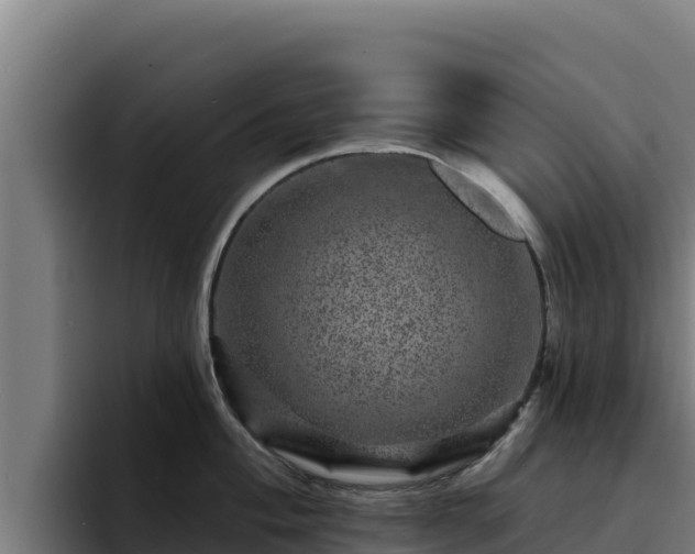 X0000094961004200712061308