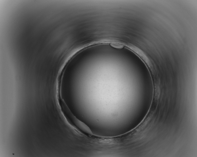 X0000094961006200712061308