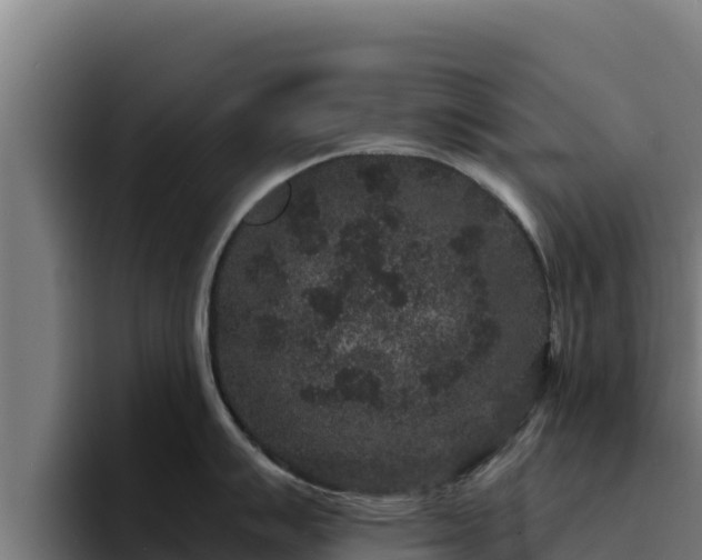 X0000094961007200712061308