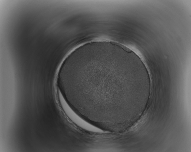 X0000094961008200712061308