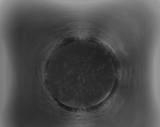 X0000094961009200712061307