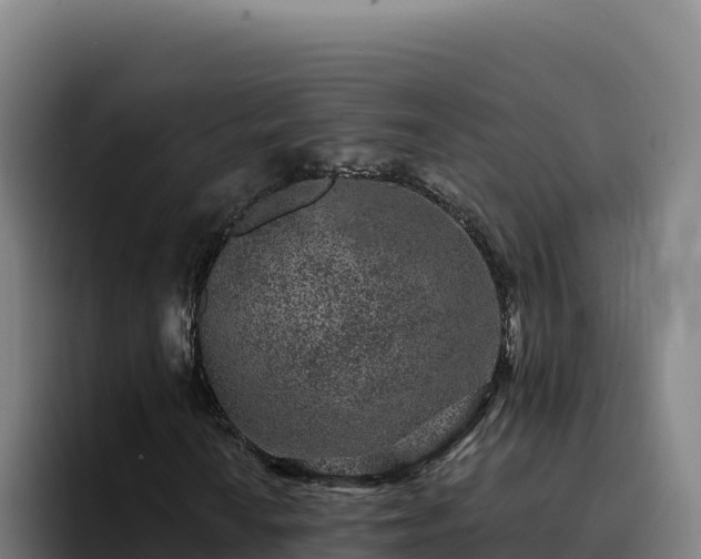 X0000094961010200712061307