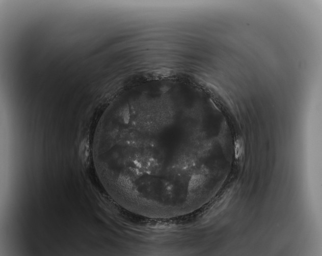 X0000094961011200712061307